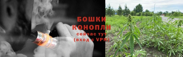 стафф Дедовск