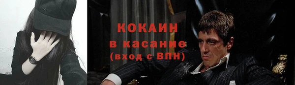 стафф Протвино