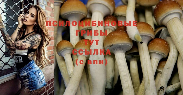 мескалин Пролетарск