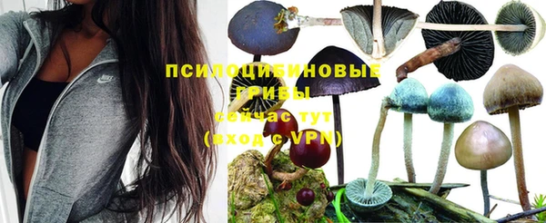 ALPHA-PVP Покачи